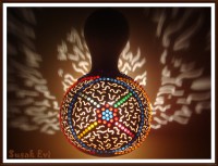 /album/resim-galerisi/shiny-1-jpg/